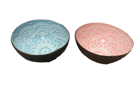 Painted Coconut Bowls Small 5  Two Bowls in Pink and Blue Each Online Hot Sale