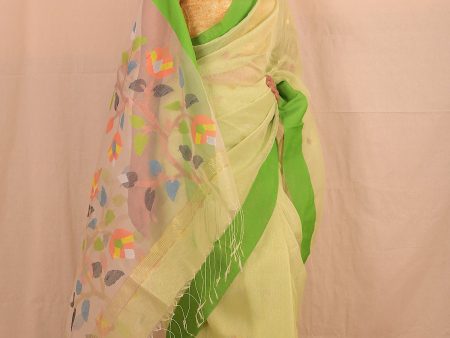 Handwoven Pastel Green Muslin Jamdani Saree Fashion