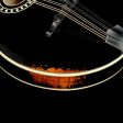 Eastman MD814 V Mandolin Antique Black Online now